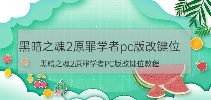 黑暗之魂2原罪学者pc版改键位 黑暗之魂2原罪学者PC版改键位教程